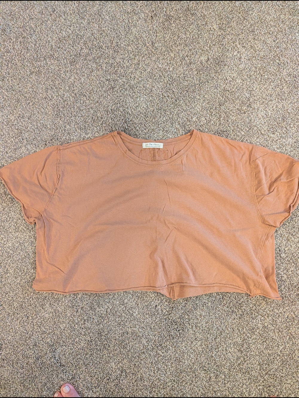 We The Free Boxy Crop Tee